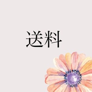 画像1: 送料のみ (1)