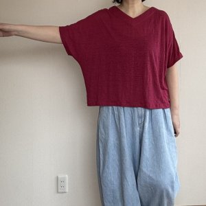 画像8: 【Ａ３用紙】Vネックプルオーバー (8)