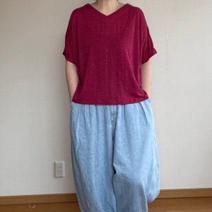 画像9: 【Ａ３用紙】Vネックプルオーバー (9)