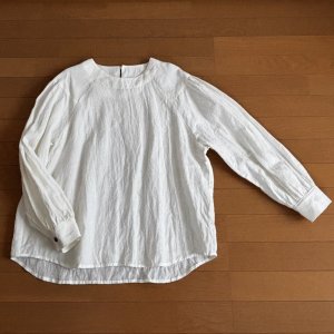 画像2: ラグランパフブラウス (2)