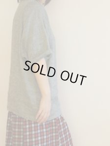 画像10: ドルマンプルオーバー (10)