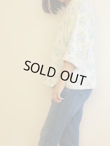 画像17: ドルマンプルオーバー (17)