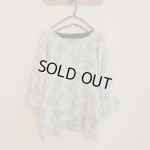 画像2: ドルマンプルオーバー (2)