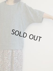 画像11: ドルマンプルオーバー (11)