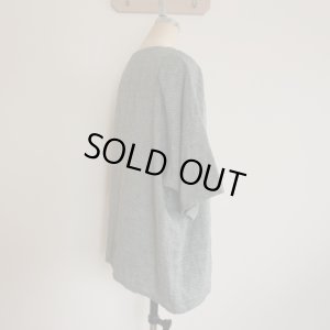 画像4: ドルマンプルオーバー (4)